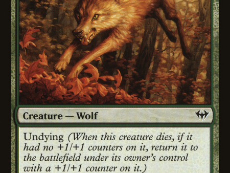 Young Wolf [The List] on Sale